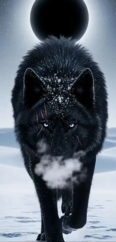 Black wolf in snowy landscape wallpaper.