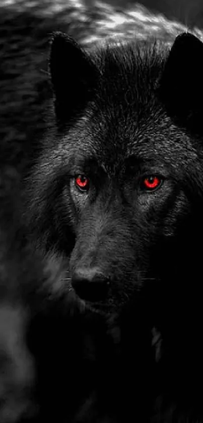 Black wolf with red eyes mobile wallpaper.