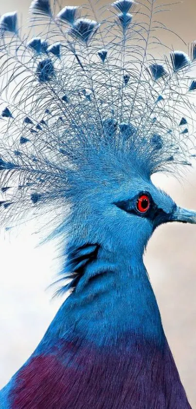 Majestic blue bird with detailed feathers on a mobile wallpaper.