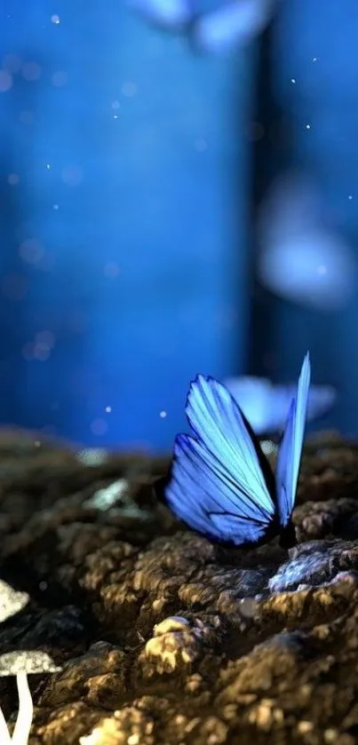 Blue butterfly on forest ground with glowing mushrooms and dreamy background.