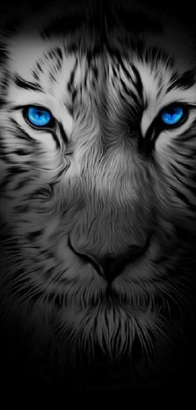 Majestic black and white tiger with blue eyes wallpaper.