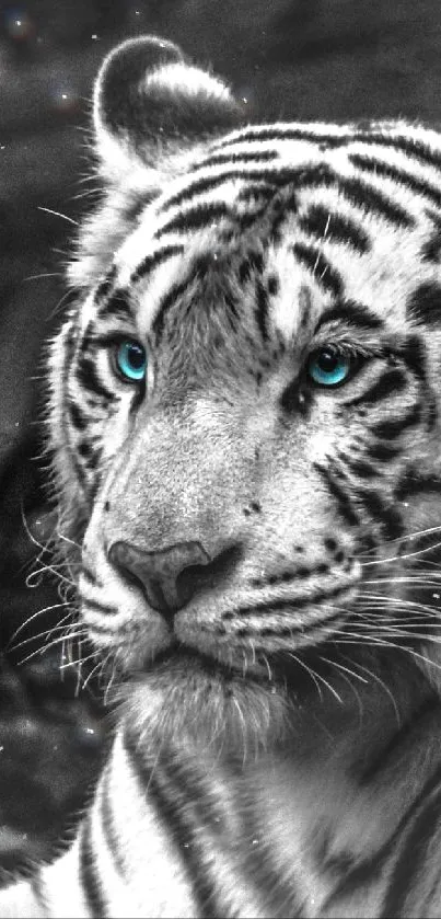 Black and white tiger with striking blue eyes.
