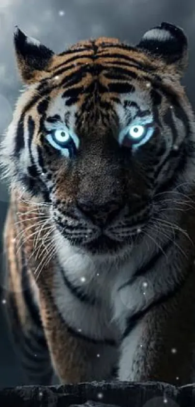 Majestic tiger with glowing blue eyes in a dark forest setting, stunning mobile wallpaper.