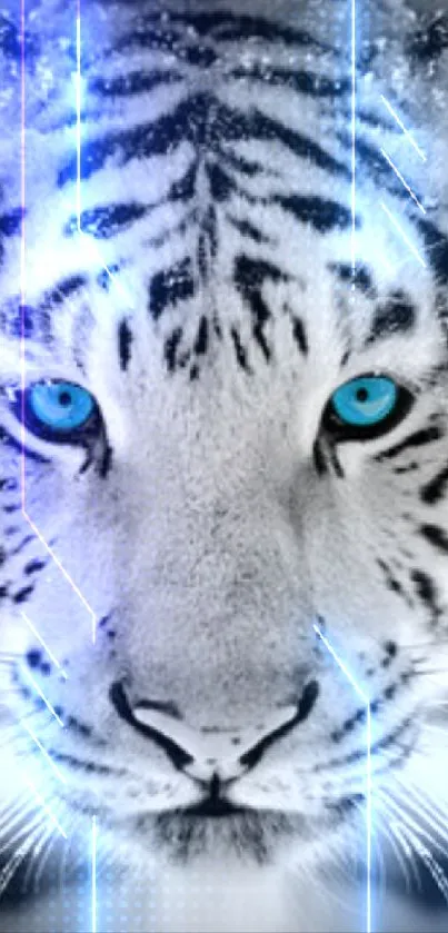 Majestic blue-eyed white tiger mobile wallpaper.