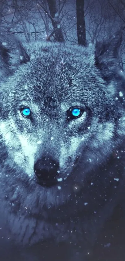 Majestic blue-eyed wolf in a snowy forest.