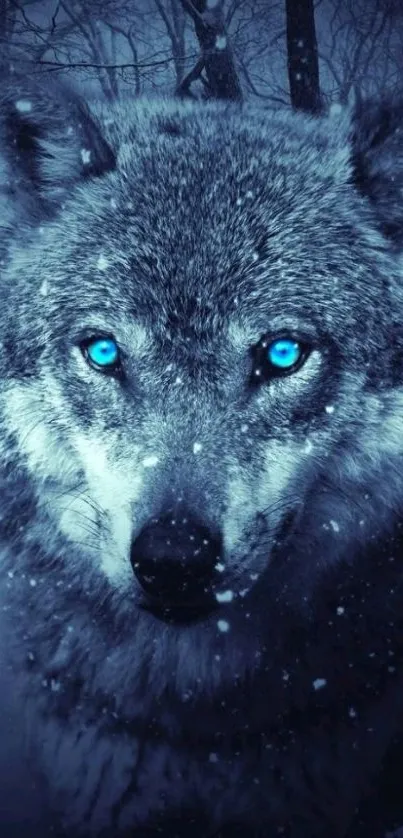 Wolf with blue eyes in snowy forest wallpaper.