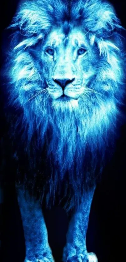 Illuminated blue lion with dark background wallpaper.