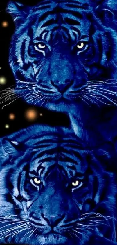 Two majestic blue tigers with starry background.