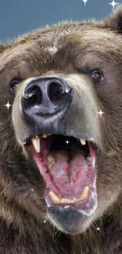 Fierce brown bear roaring with open mouth and visible teeth.