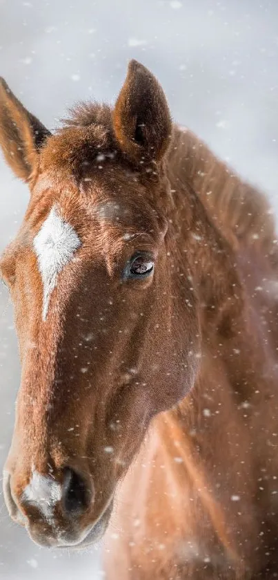 Majestic brown horse in falling snow, elegant and serene mobile wallpaper.