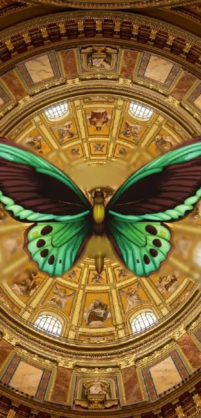 Green butterfly on ornate dome background wallpaper.