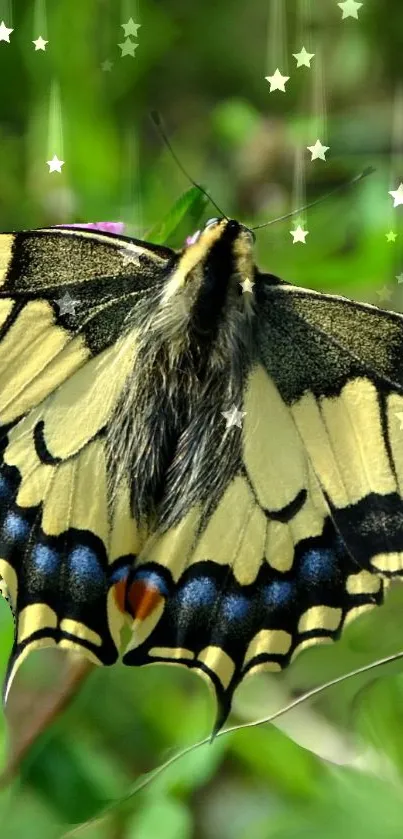 Stunning butterfly on a lush green backdrop with star accents for phone wallpaper.