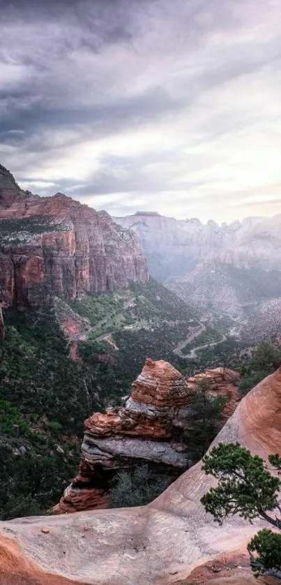 Majestic canyon scenery mobile wallpaper with dramatic red rock formations.