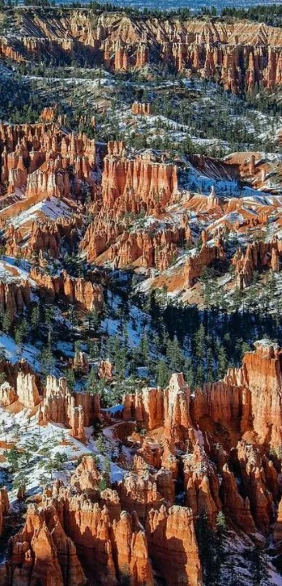 Majestic canyon view with orange rock formations.