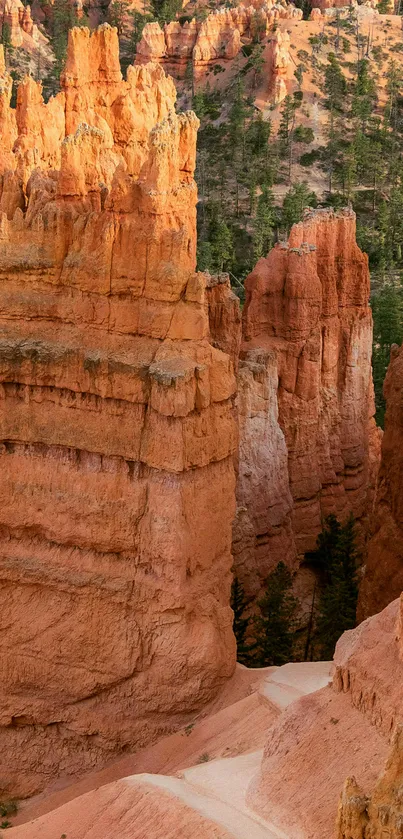 Majestic canyon with orange cliffs and green trees in mobile wallpaper.