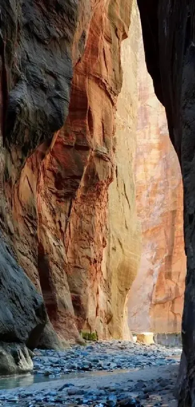 Stunning canyon passage with river flowing below rugged stone walls.