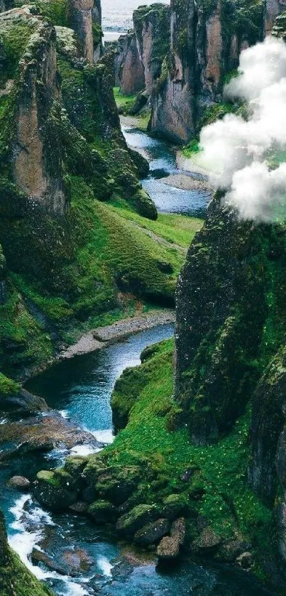 Lush green canyon with flowing river wallpaper.