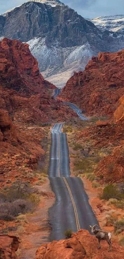 Stunning view of a road between red rock canyons with distant snow-capped mountains.