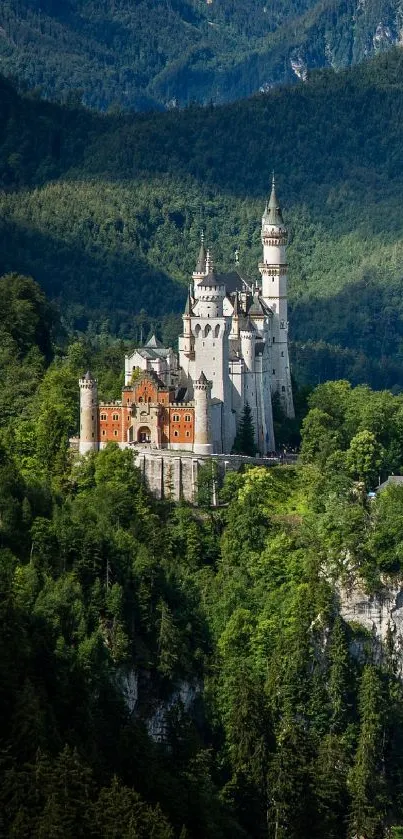 Enchanting castle surrounded by lush green forest