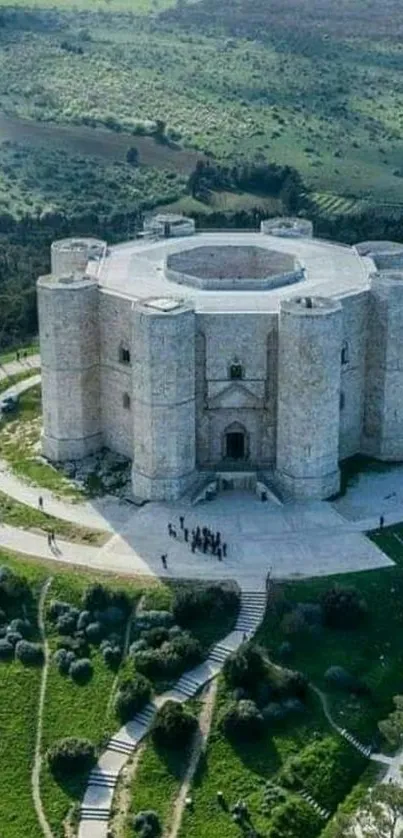 Aerial view of a historic castle in lush green landscape.