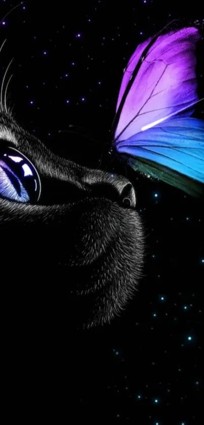 Black cat gazing at a colorful butterfly against a starry night backdrop.