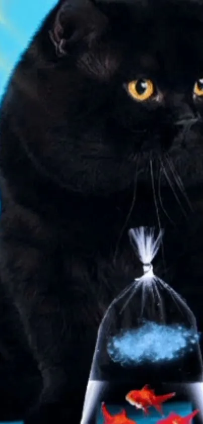 Black cat gazing at goldfish in a bag with a blue background.