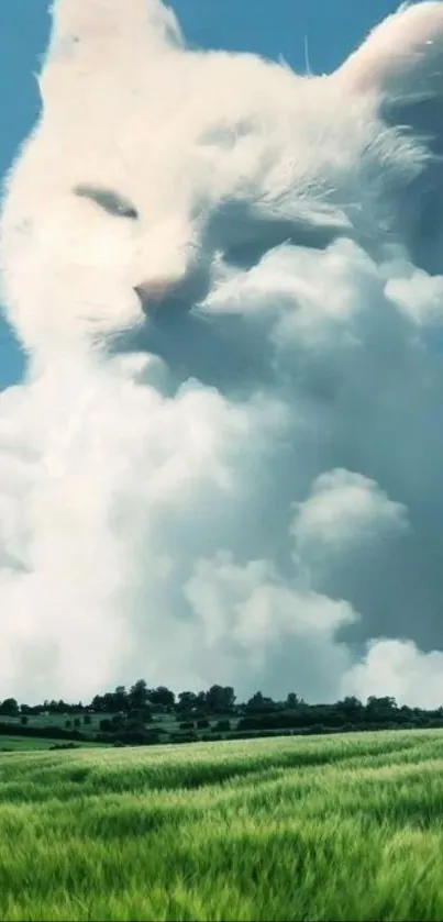 Creative cloud shaped like a giant cat over green fields, under a blue sky.