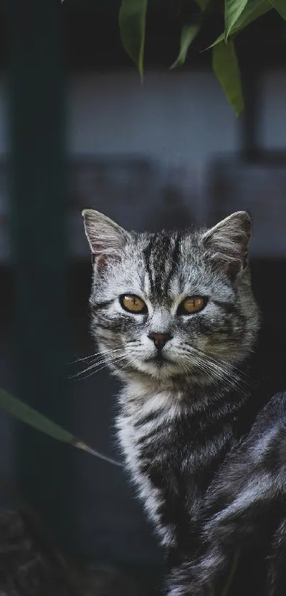 Majestic cat in a dark and leafy setting.
