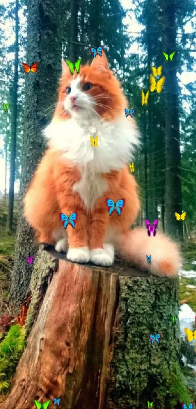 Orange and white cat sitting on a tree stump in a lush green forest.