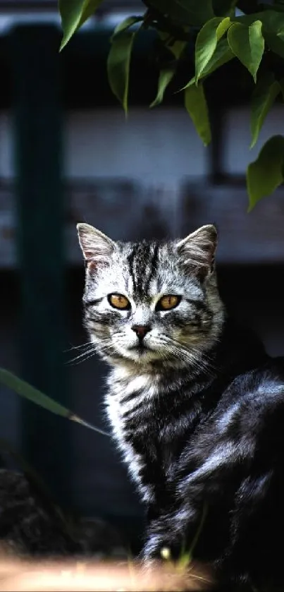 Majestic cat sitting in a lush garden with green leaves.