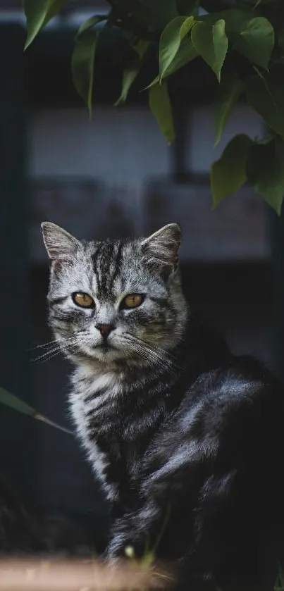 Grey cat sitting among lush green leaves in a serene setting.