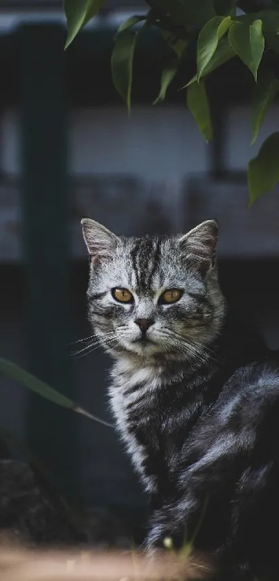 Majestic cat sitting amidst green leaves in nature.