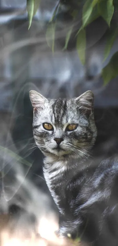 Majestic gray cat in lush green nature setting with leaves.