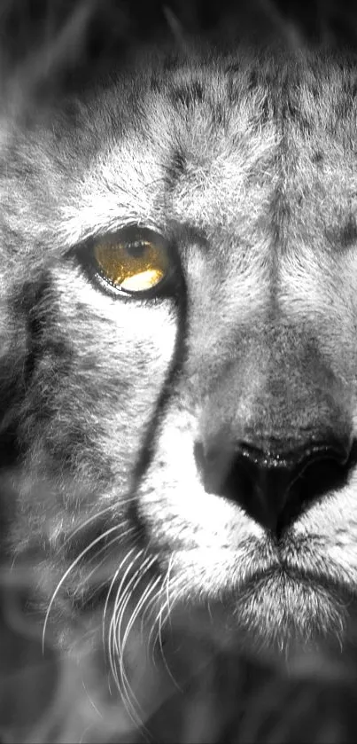 Majestic cheetah with yellow eyes on a black background, perfect for mobile wallpaper.