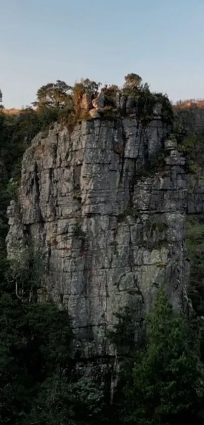 Majestic cliff surrounded by lush greenery.