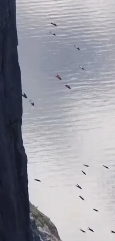 Birds soar alongside a rocky cliff over calm waters.