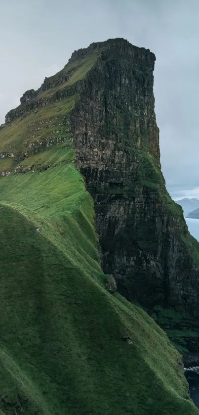 Majestic cliff overlooking the ocean with green landscapes, perfect for mobile wallpaper.