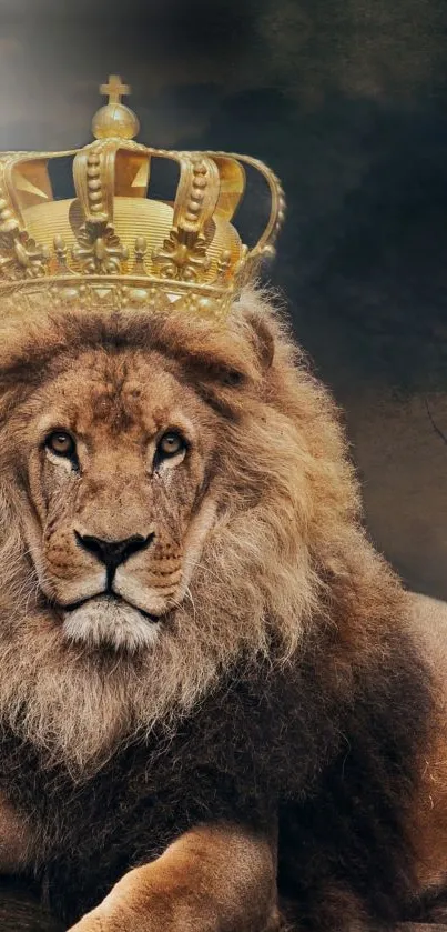 Majestic lion with a crown in artistic wallpaper.