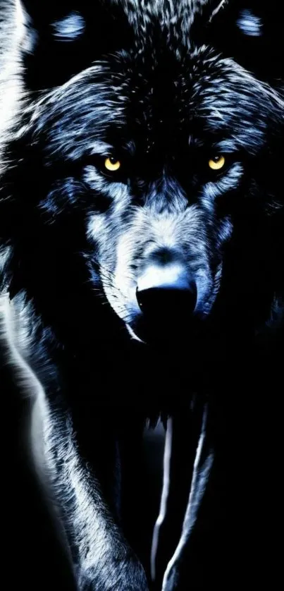 Majestic dark wolf with piercing eyes.