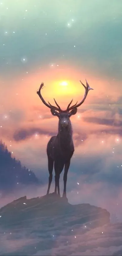 Deer standing on a mountain with sunset.