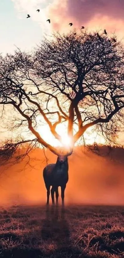 Majestic deer under a tree at sunset.