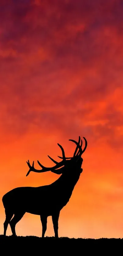 Deer silhouette set against a vibrant sunset sky.