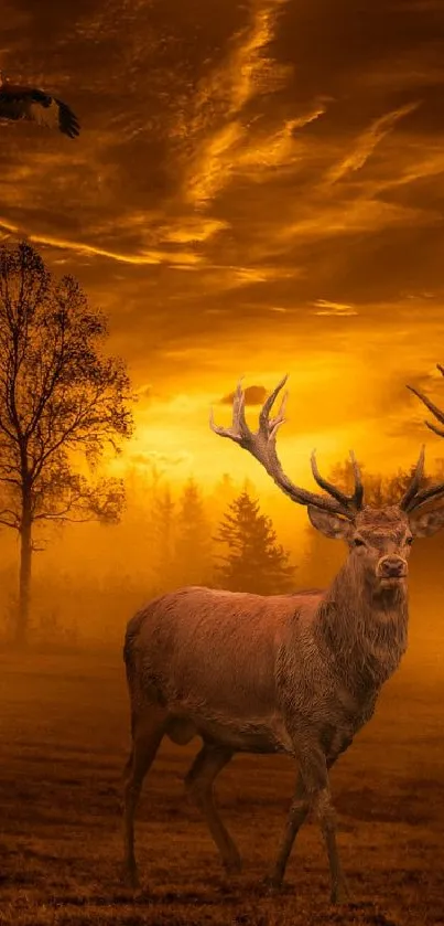 Majestic deer with large antlers in an orange sunset landscape.