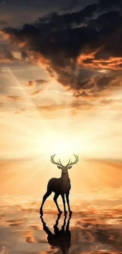 Deer silhouette against a golden sunset sky, creating a peaceful and reflective scene.