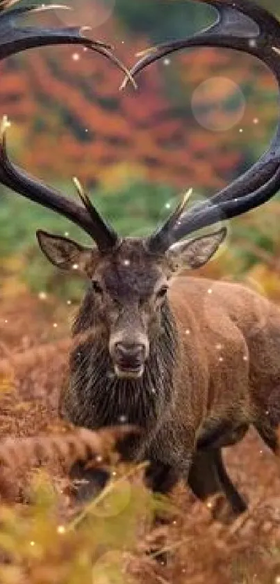 Majestic deer with heart-shaped antlers in an autumn forest.