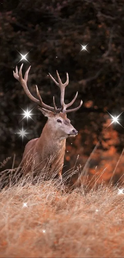 Majestic deer surrounded by autumn foliage in a serene forest setting.