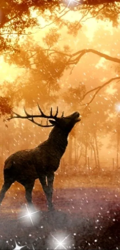 Majestic deer amidst autumn forest with glowing stars