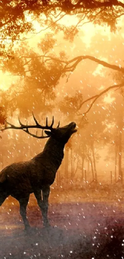 Deer in a misty autumn forest with golden sunlight filtering through trees.