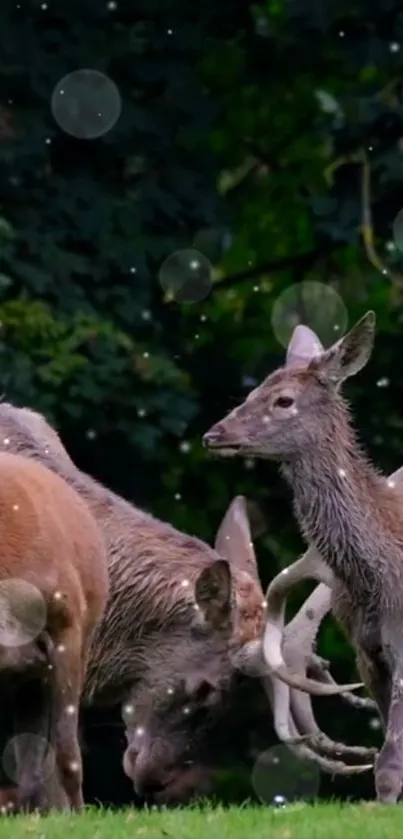 Group of deer in a lush, enchanted forest with gentle snowfall effect.