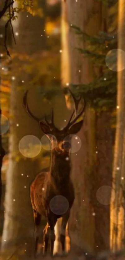 Majestic deer in forest with glowing lights and golden brown tones.